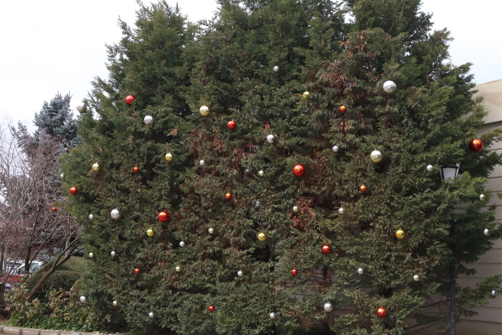 Oruçoğlu Termal Otel 2026’ya Hazır