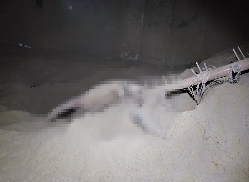 Talaş Silosuna Düşen İşçi Hayatını Kaybetti