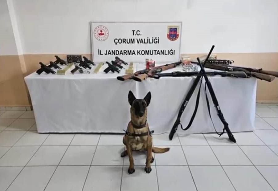 Afyon Dahil 14 İlde Silah Kaçakçılığı Operasyonu: 202 Gözaltı