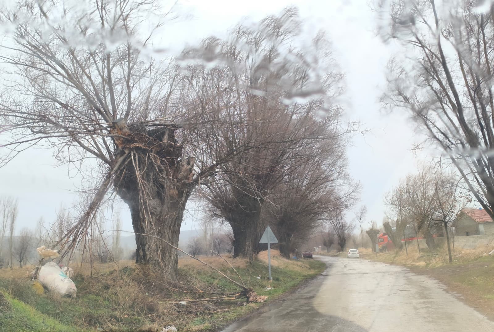 Afyonda Rüzgarın Savurduğu 'Saksı' Az Kalsın Can Alıyordu