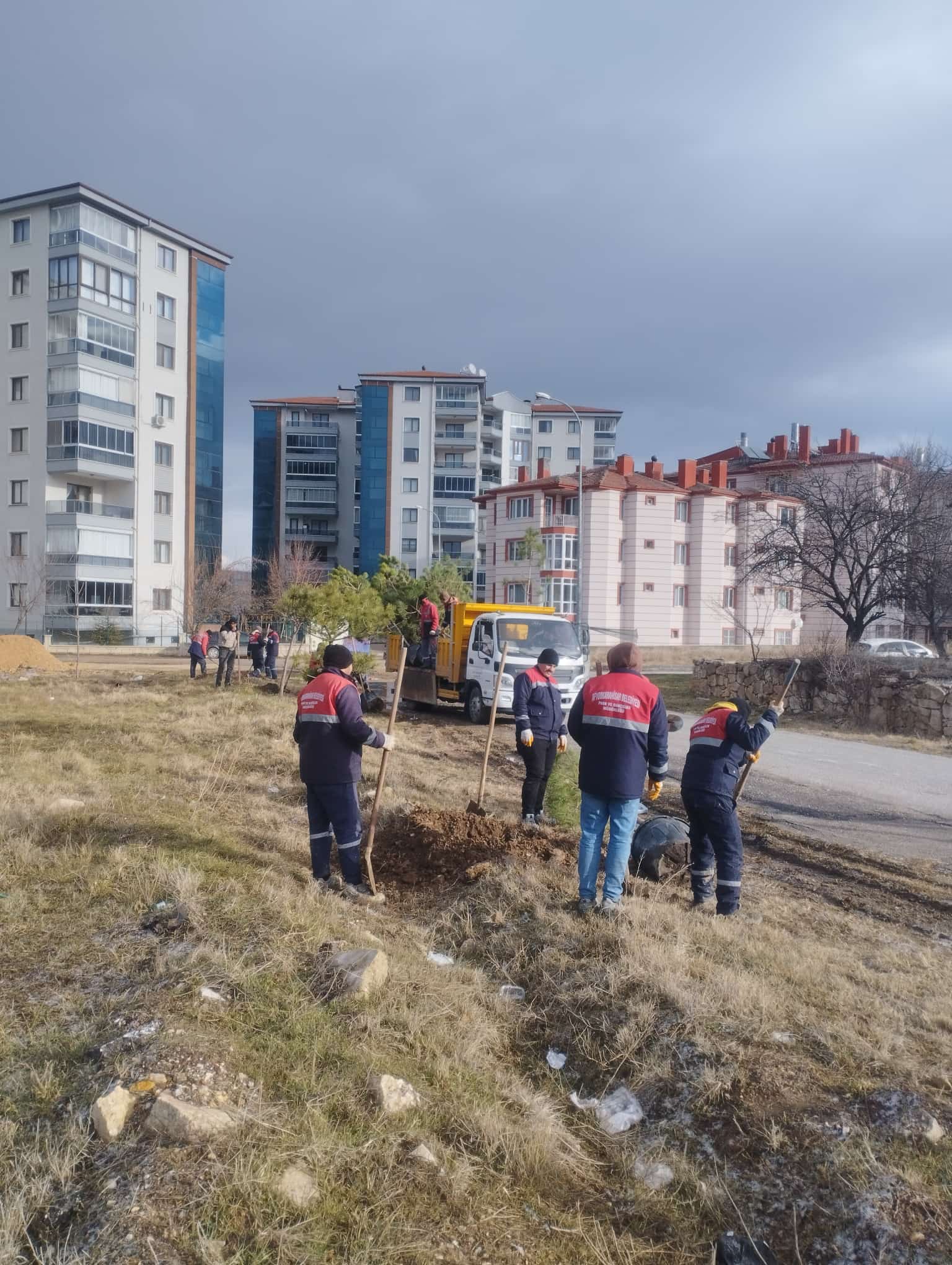 Nazmi Saatçi Mahallesi’nde Yeşillendirme Çalışması