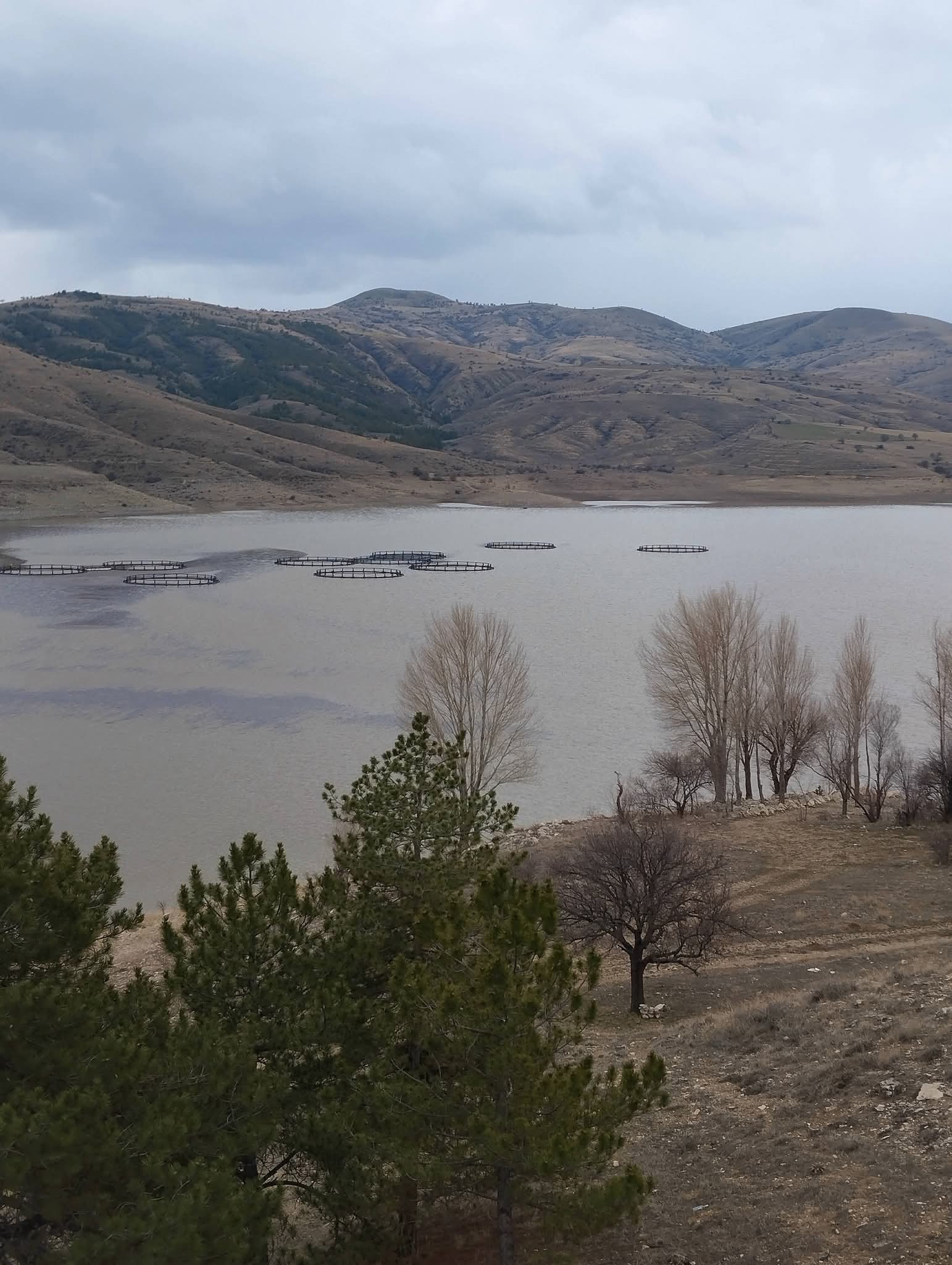 Afyonkarahisar’da Kurumaya Yüz Tutan Barajda Doluluk Oranı Yükseldi