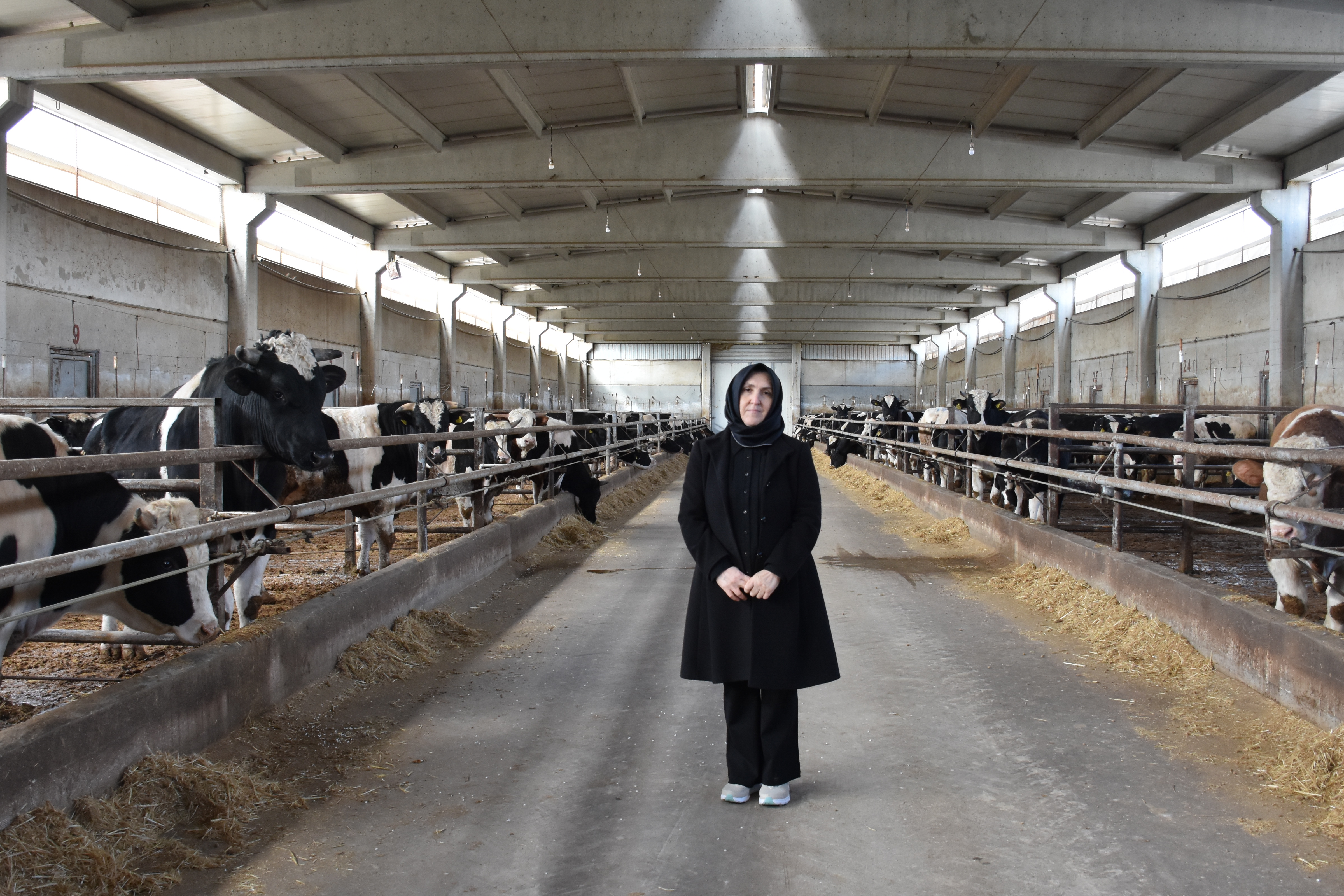 Afyonkarahisarlı Kadın Girişimci TKDK Desteğiyle Hayvancılık Üssü Kurdu