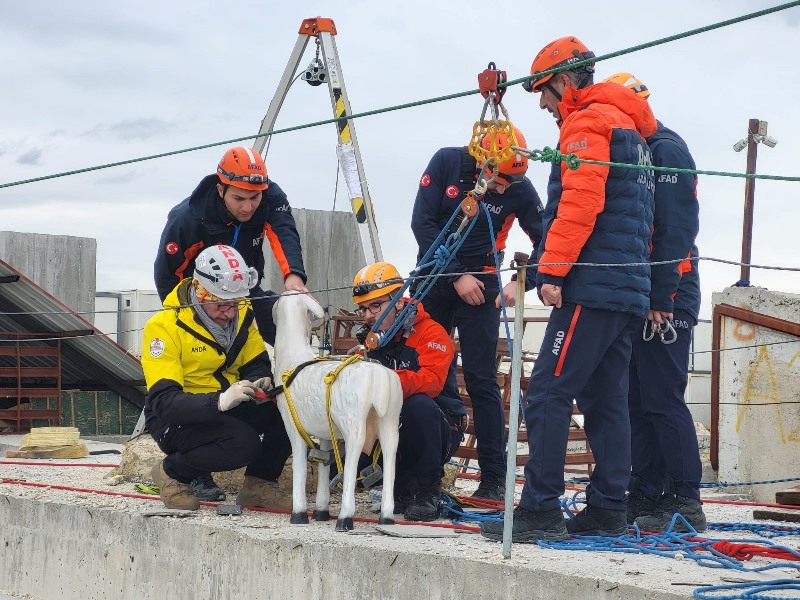 Afyon’da Uluslararası Proje!