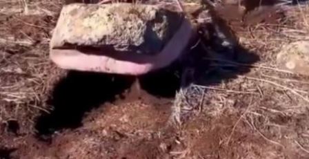 Dedesinin Vasiyetini Dinledi, 1 Küp Altın Buldu!