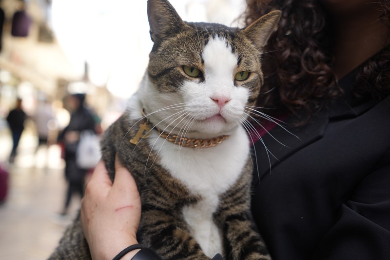 10 Kiloluk Cüssesi İle Görenlerin Dikkatini Çekiyor