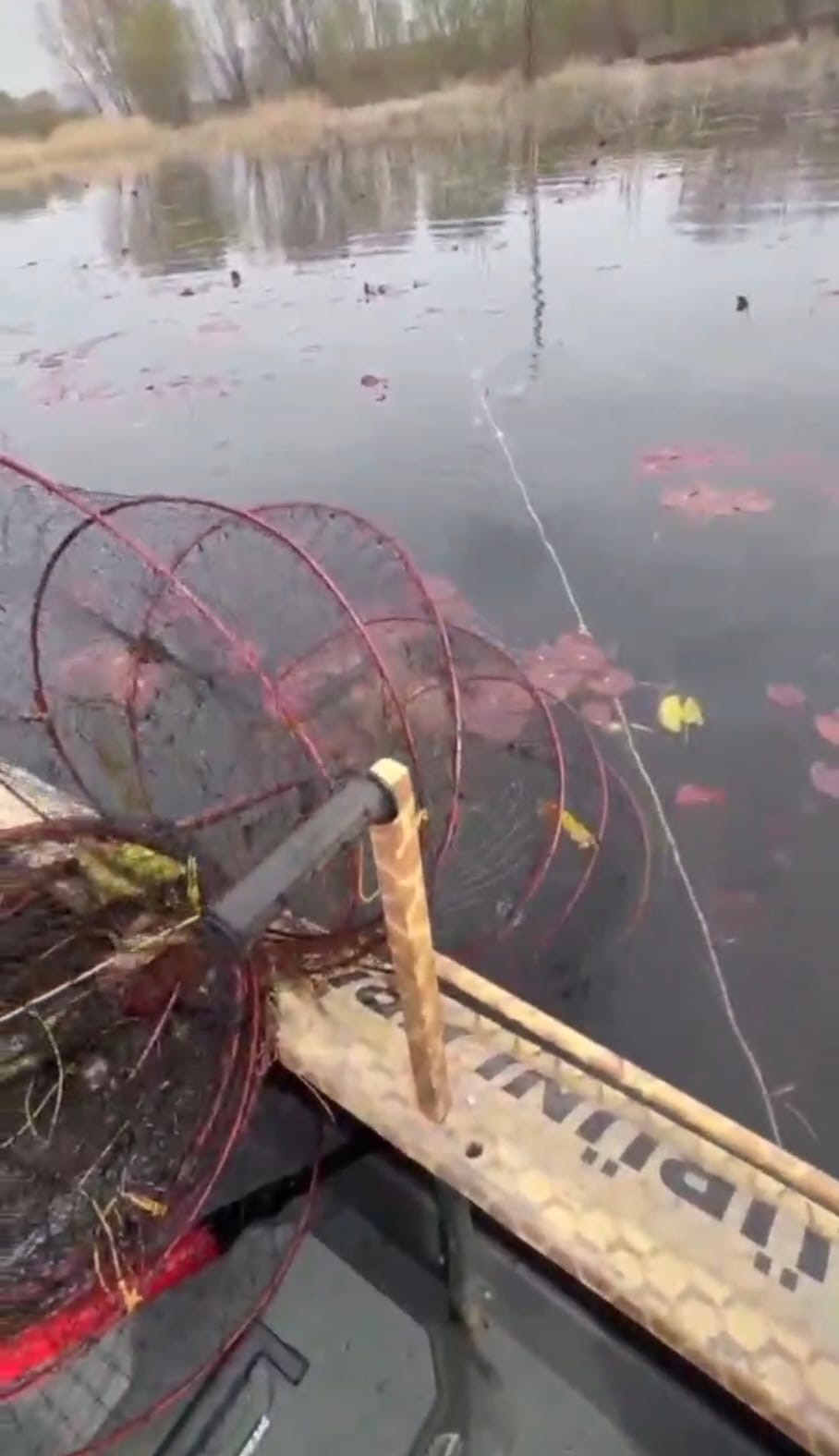 Afyon - Nilüfer Cenneti’nde Kaçak Avcılığa Dur Denildi!