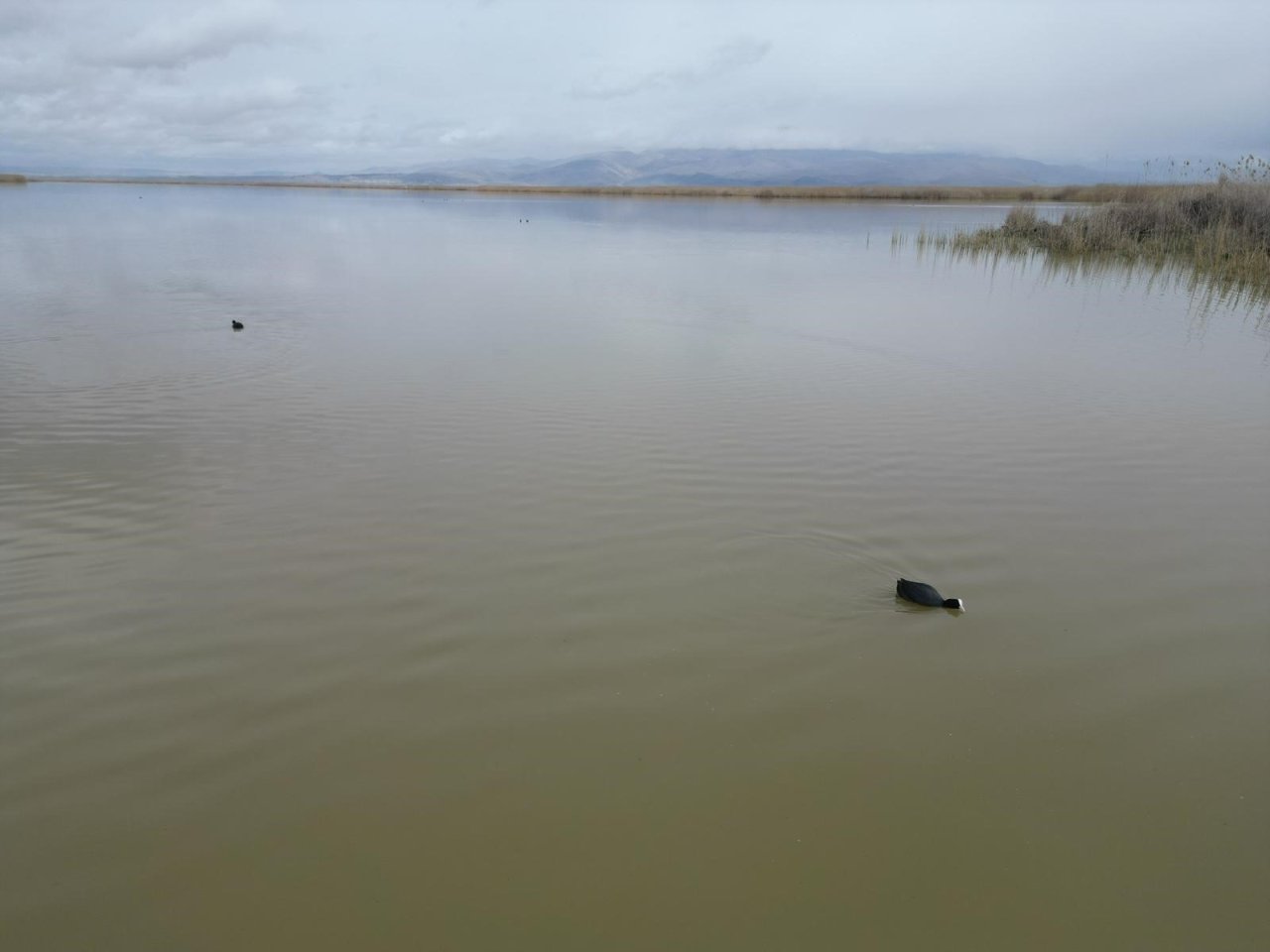 Eber’de "Küllerinden Doğuş": Kayık Mezarlığı Yeniden Liman Oldu!