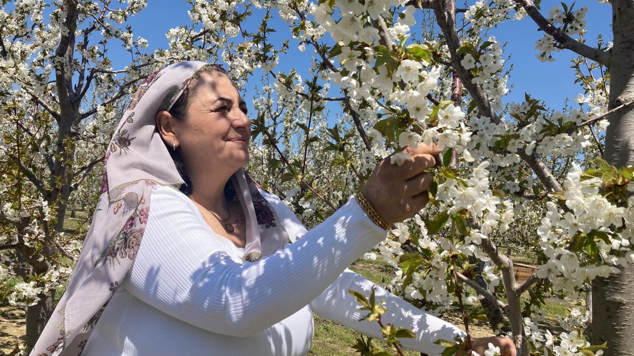 Beşinci ‘Kiraz Çiçeği Fotoğraf Etkinliği’ Gerçekleştirildi
