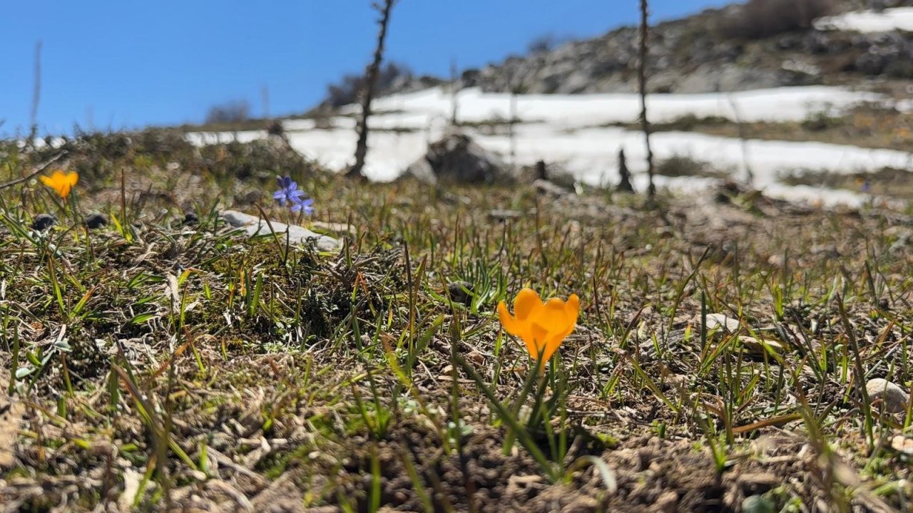 Akgöl Yaylası’nda Görsel Şölen: Bahar Ve Kış Mevsimi Aynı Anda Görüntülendi