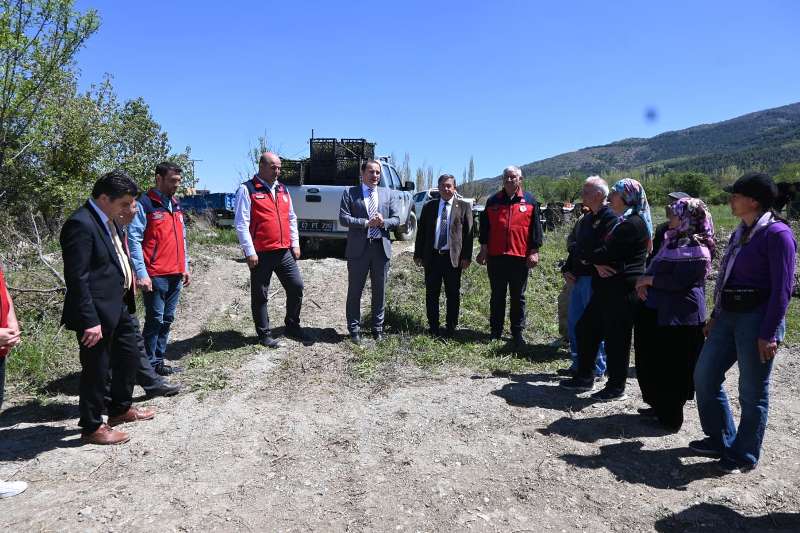 Dikimi Yapılan Böğürtlen Alım Garantili!
