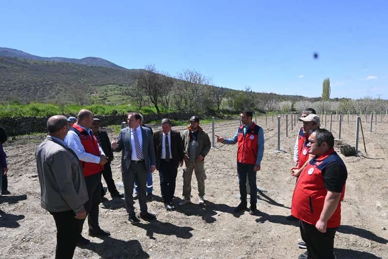 Dikimi Yapılan Böğürtlen Alım Garantili!