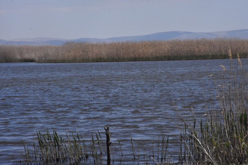 Eber Gölü’ndeki Su Artışı Yüzleri Güldürdü