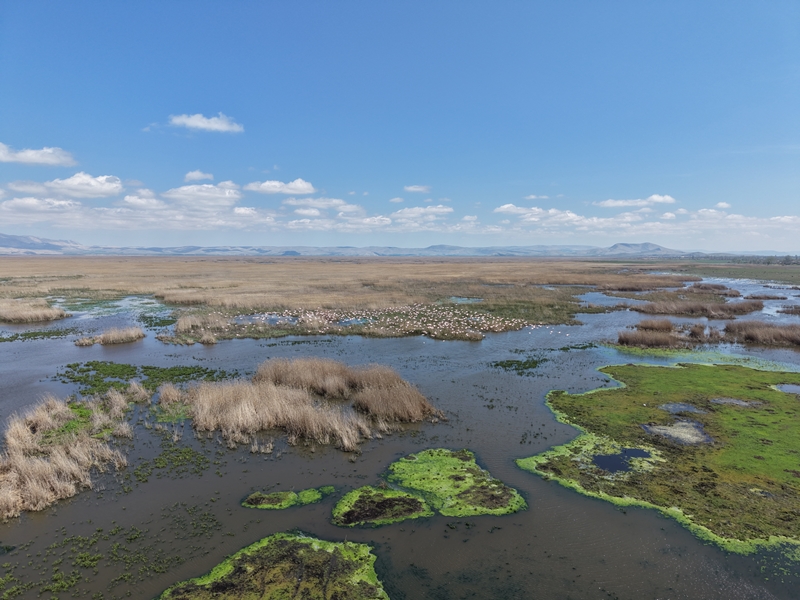 Eber Gölü’ndeki Su Artışı Yüzleri Güldürdü