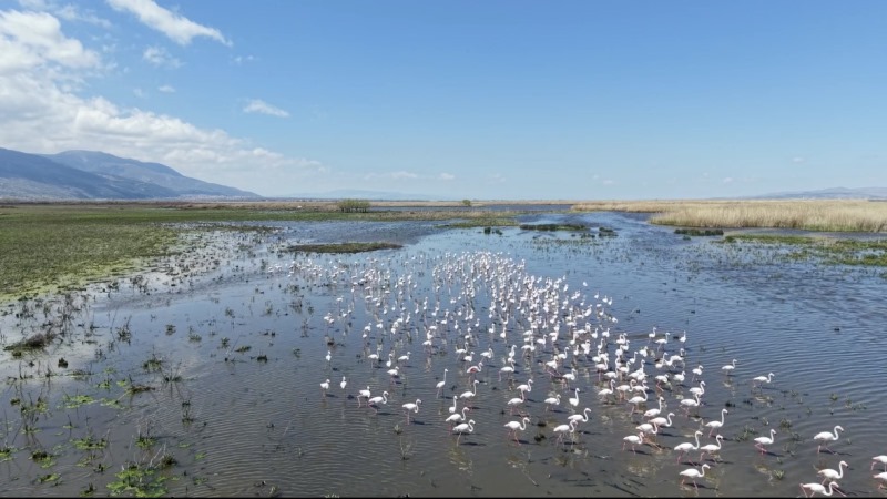 Eber Gölü’ndeki Su Artışı Yüzleri Güldürdü