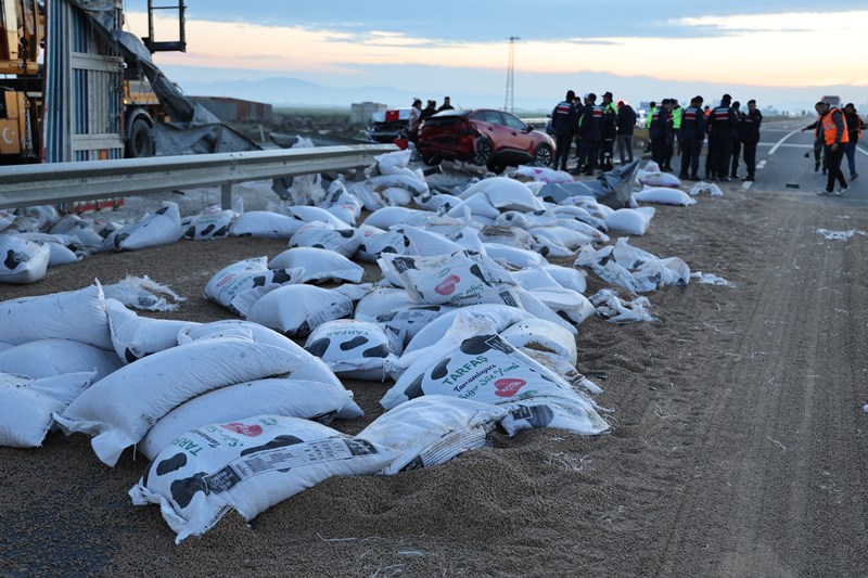 Hayvan Yemi Yüklü Tır Devrildi, 6 Yaralı Var!