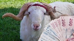 Kurban Bayramı Emekli İkramiyesi Ödeme Tarihi Ve Zam Gelişmesi Netleşti