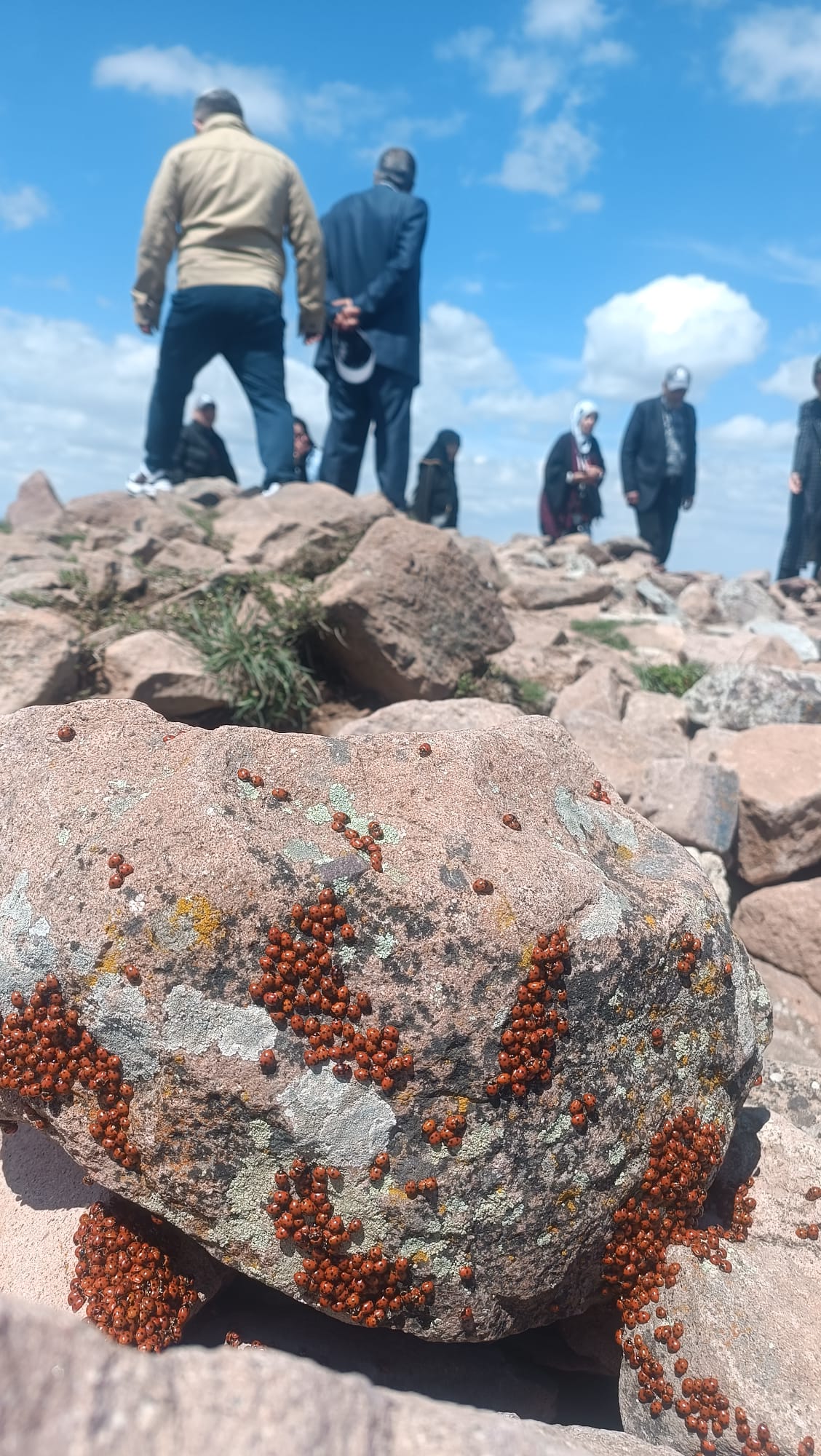 Kocatepe’de Mucizevi Buluşma: Atanın Huzurunda Binlerce "Uğur"