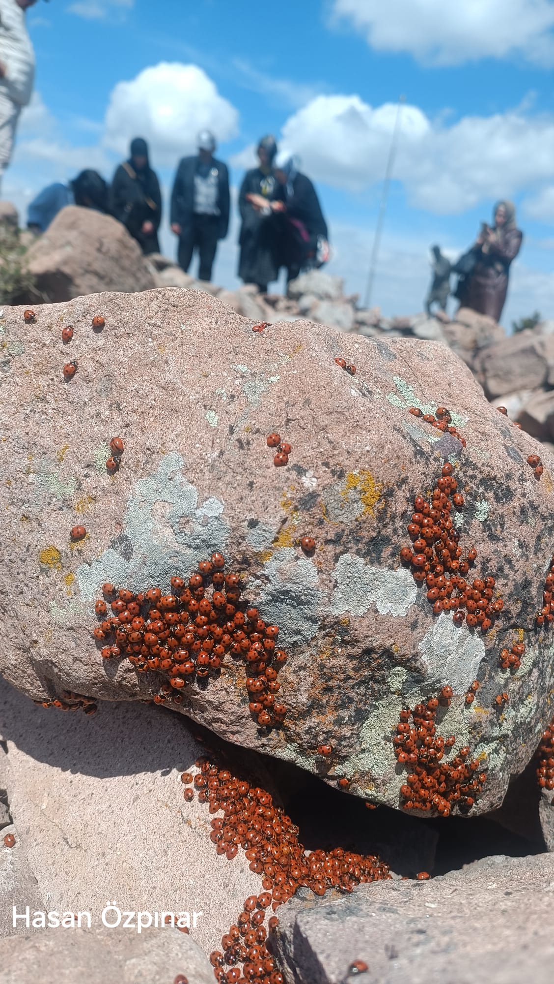 Kocatepe’de Mucizevi Buluşma: Atanın Huzurunda Binlerce "Uğur"