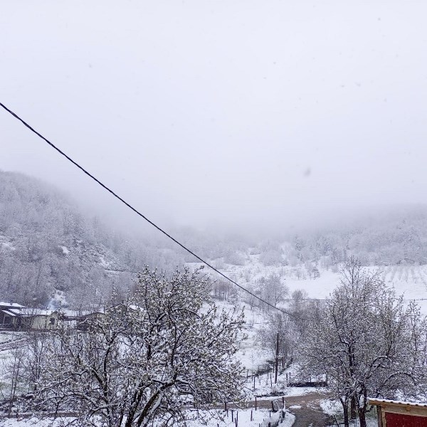Bahar Beklenirken Kış Geri Geldi