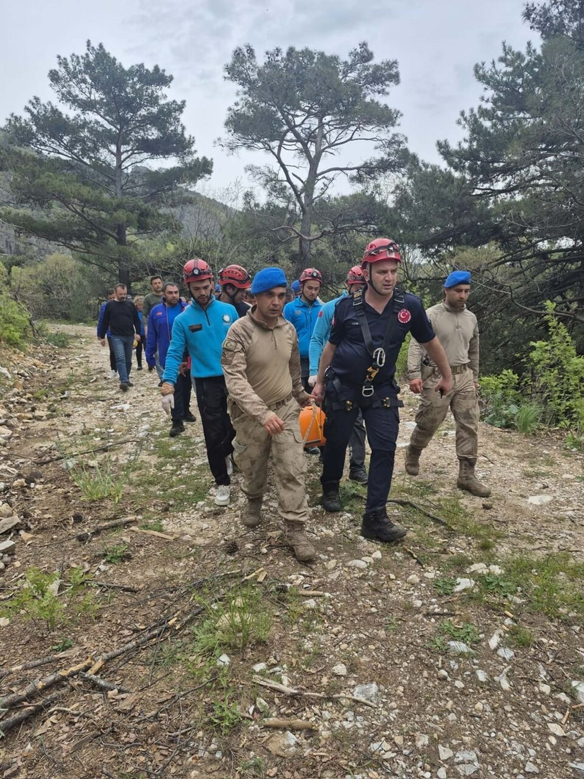 Edremit’te Kayıp Olarak Aranan Demans Hastası Ormanda Ölü Bulundu