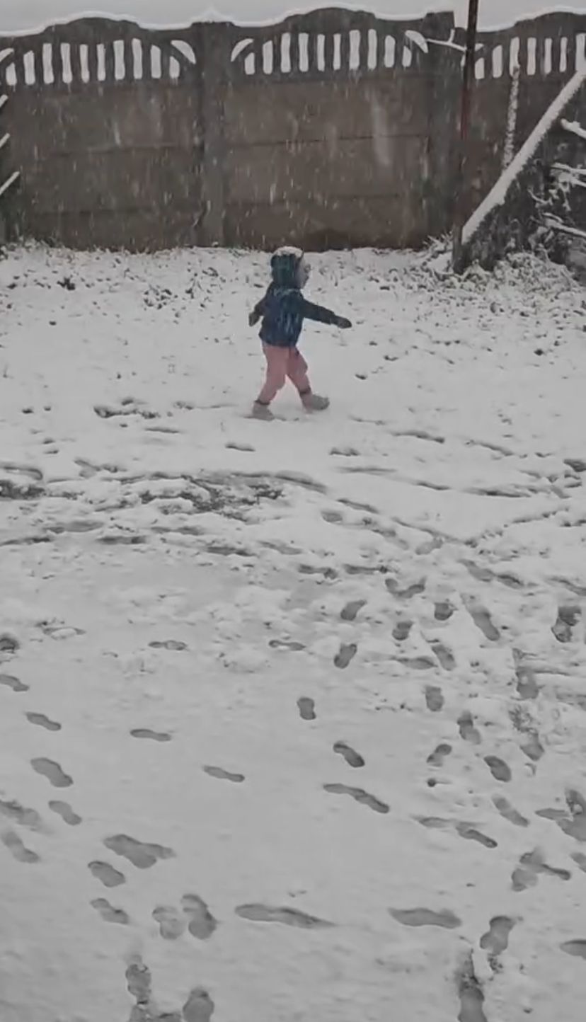 Kar Hayatı Durdurdu: Sinanpaşa’da Kar Kalınlığı Yarım Metre!