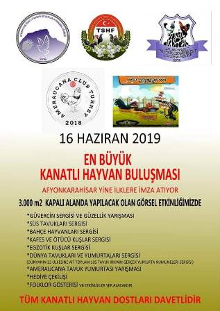En büyük kanatlı hayvan buluşması