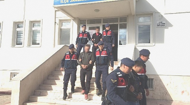 Büyükbaş hayvanı çalan hırsızlar serbest bırakıldı