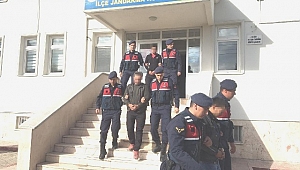 Büyükbaş hayvanı çalan hırsızlar serbest bırakıldı