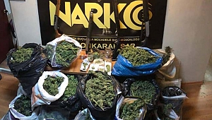 99 kilo 750 gram esrar ele geçirildi