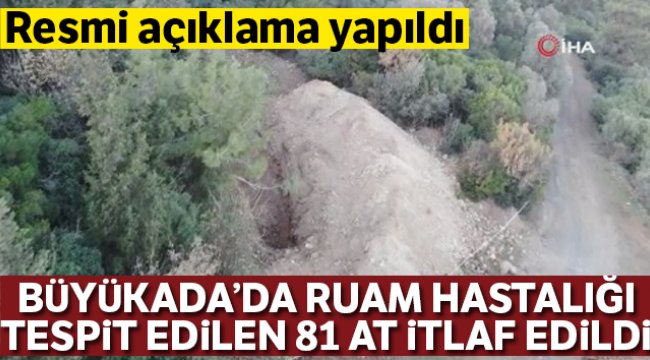 Adalar Kaymakamlığından Ruam hastalığı taşıyan atlara ilişkin açıklama