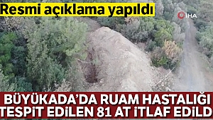 Adalar Kaymakamlığından Ruam hastalığı taşıyan atlara ilişkin açıklama