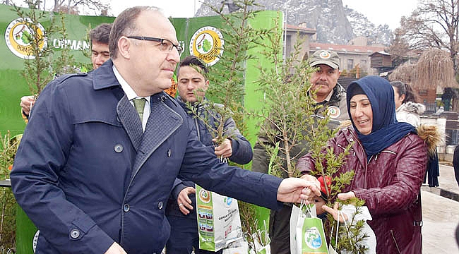 AĞAÇ KESME FİDAN DİK