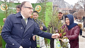 AĞAÇ KESME FİDAN DİK