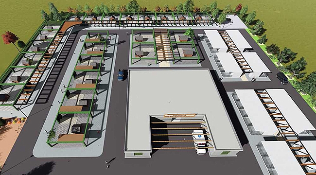 DİNAR BELEDİYESİ SOKAK HAYVANLARINA SAHİP ÇIKIYOR