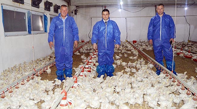 EMEKLİ POLİSİN TAVUKLARI ARAP SOFRALARINDA