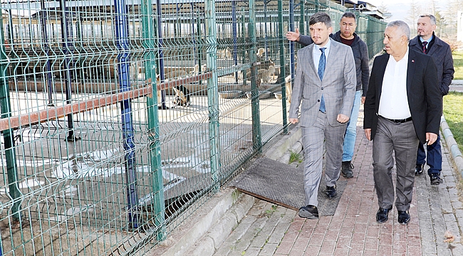 “Hayvanları seven tüm canlıları sever”