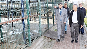 “Hayvanları seven tüm canlıları sever”