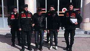 İNEK HIRSIZLARI YAKALANDI