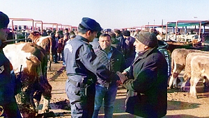 JANDARMA HAYVAN PAZARINDA DENETİM YAPTI