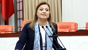 KÖKSAL, HÜKÜMETİ ELEŞTİRDİ
