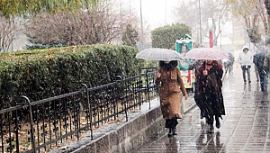 Mevsimin ilk karı yağdı