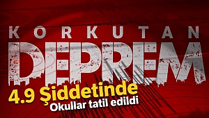 Son Dakika: Elazığ'da 4,9 büyüklüğünde deprem