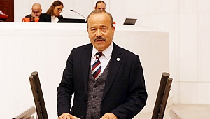 “TSK YARGI DIŞINDA TÜM ALANLARI DENETLEYEBİLİR”
