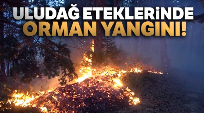 Uludağ eteklerindeki orman yangını kontrol altına alındı!
