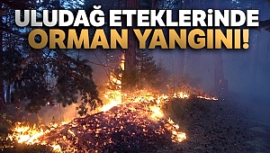 Uludağ eteklerindeki orman yangını kontrol altına alındı!