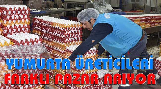 YUMURTA ÜRETİCİLERİ ARAP PAZARINA YÖNELDİ
