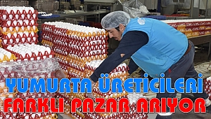 YUMURTA ÜRETİCİLERİ ARAP PAZARINA YÖNELDİ