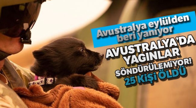 Avustralya'da yangınların bilançosu artıyor: 25 ölü