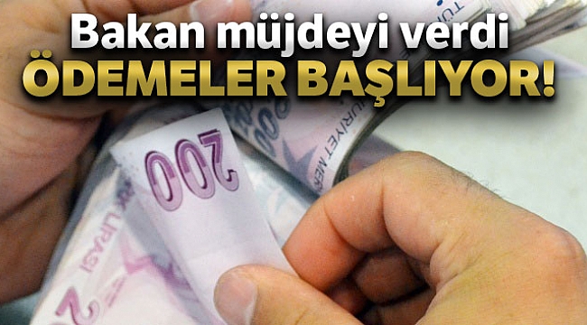 Bakan Pakdemirli: 'Destek ödemelerine bugün başlıyoruz'